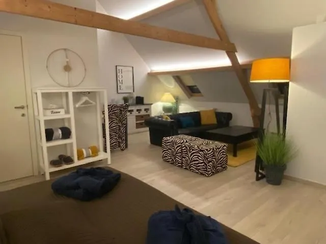 B&B Chez Marraine Bruges 3*,